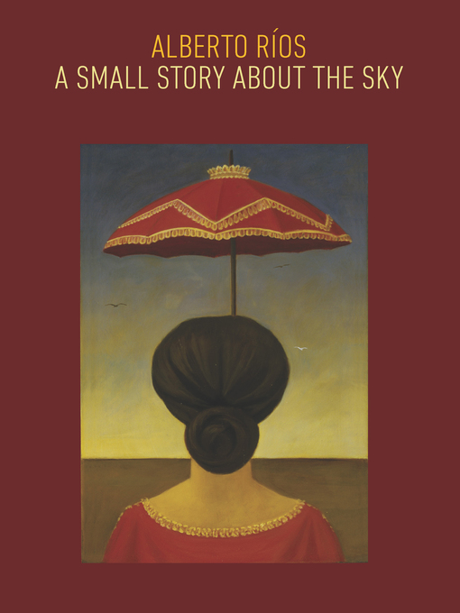 Title details for A Small Story about the Sky by Alberto Ríos - Available